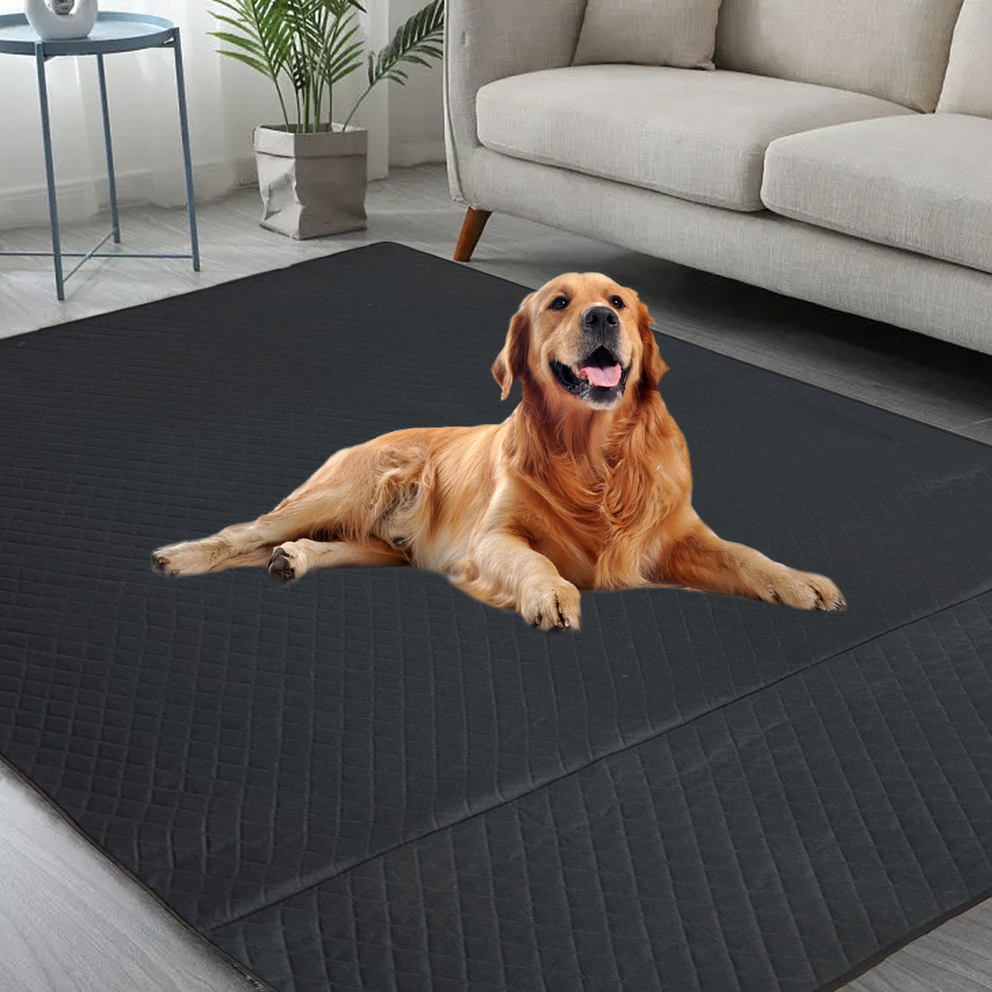 Tucker Murphy Pet Heavy duty Waterproof Washable Pet Mat Pad Reviews Wayfair